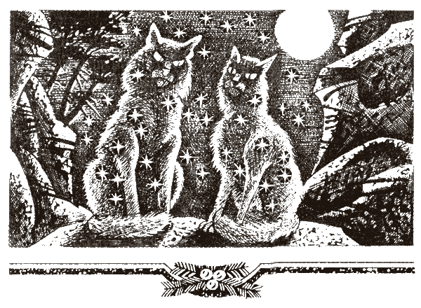 Судьба Небесного племени. Сомнение - i_004.png