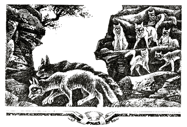 Судьба Небесного племени. Сомнение - i_005.png