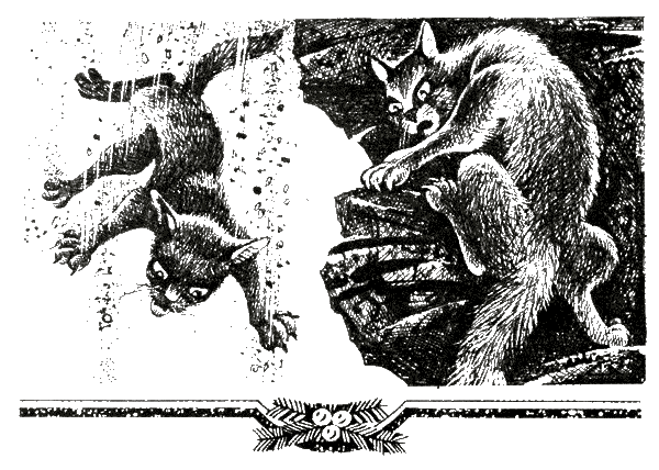 Судьба Небесного племени. Сомнение - i_006.png