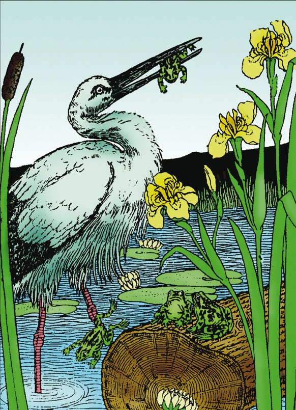 Народные русские сказки А. Н. Афанасьева в 5 томах. Том 2 - i_015.jpg