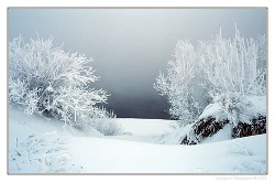 Читать онлайн книгу 31 декабря сказка стучится во все двери (СИ) автор Амарий Наталья Константиновна Книга 31 декабря сказка стучится во все двери (СИ)