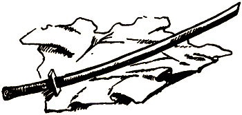 Секрет ниндзя - i_021.png