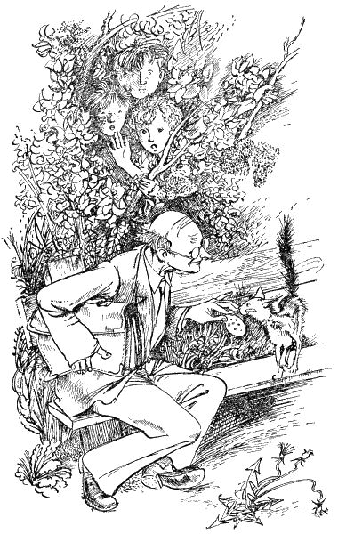 Дважды два равняется одуванчику - i_022.png