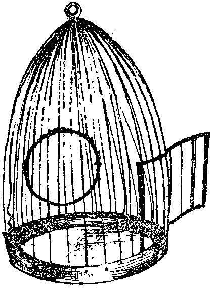 Дважды два равняется одуванчику - i_039.png