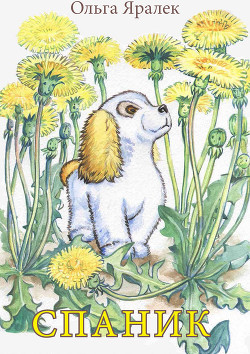 Книга Спаник