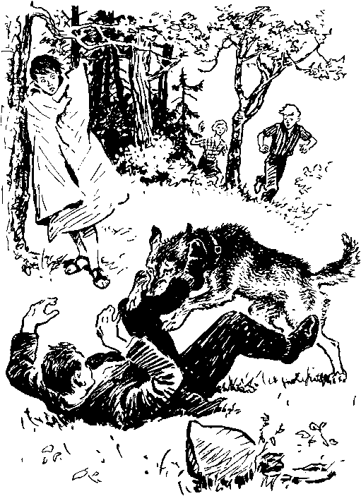 Сердце солдата - img_20.png