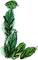 Длинные уши в траве. История косули Рыжки - nonjpegpng__01.png