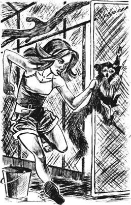 Дело о черном вороне - pic_6.jpg