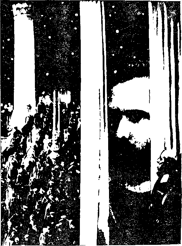 Перед штормом - i_015.png