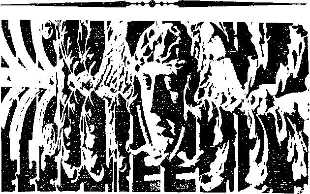 Перед штормом - i_023.png