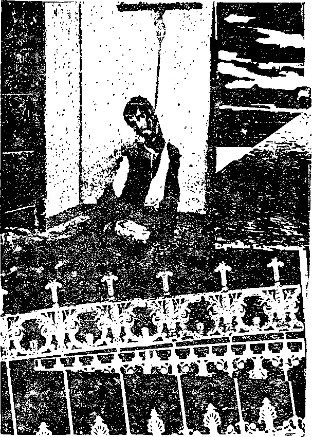 Перед штормом - i_024.png