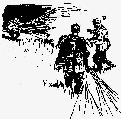 "Сатурна" майже не видно - doc2fb_image_03000003.png