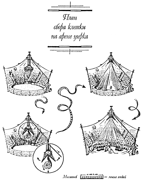 Львиный мальчик - i_008.png