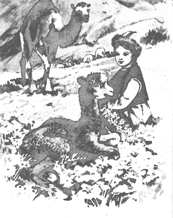 Пум - i_002.png