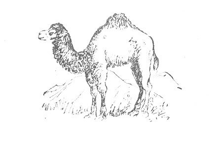 Пум - i_003.png