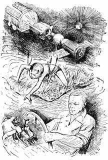 Концерт для контрабаса с собакой - _9.jpg