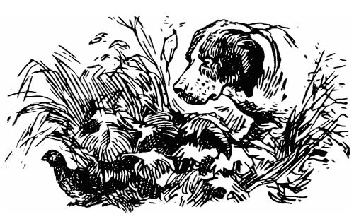 Охотничьи тропы - i_028.png