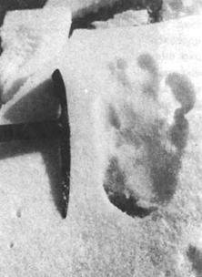 Хрустальный горизонт - image136.jpg