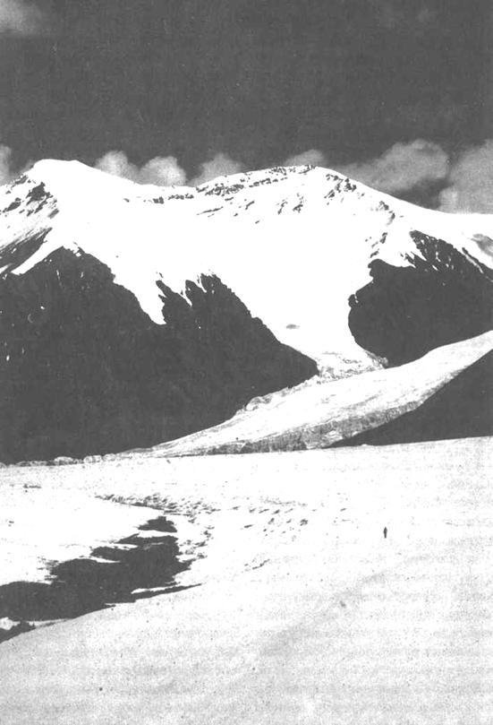 Хрустальный горизонт - image174.jpg