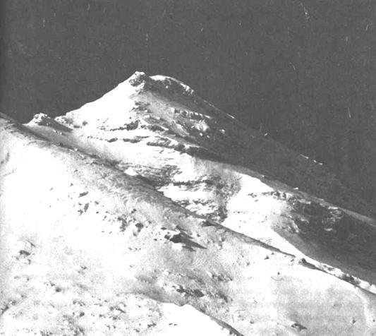 Хрустальный горизонт - image186.jpg