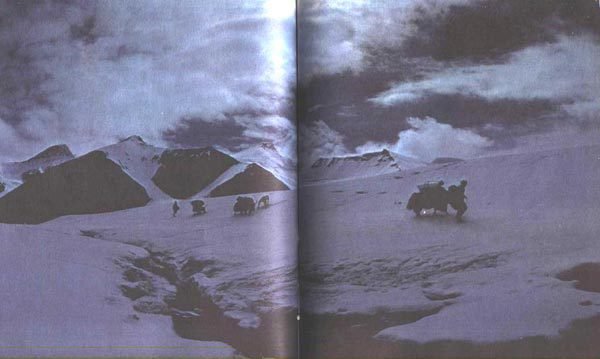 Хрустальный горизонт - image224.jpg