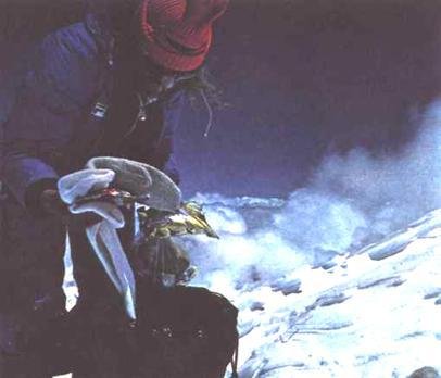 Хрустальный горизонт - image242.jpg