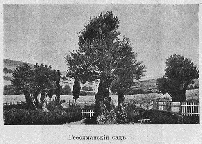 Паломничество в Палестину - _50.jpg