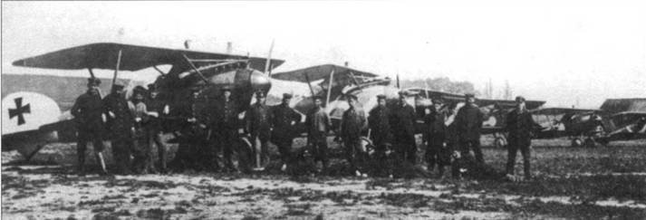 Боевое применение Германских истребителей Albatros в Первой Мировой войне - pic_34.jpg