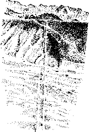 Поклоняющиеся звездам - i_023.png