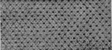 Активное долголетие (Моя система борьбы со старостью) - pic_31.jpg