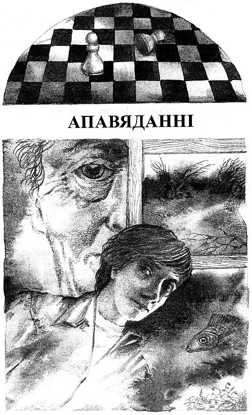 Афганская шкатулка - i_005.jpg