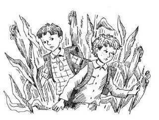 Пригода в кукурудзі (збірник) - i_001.jpg