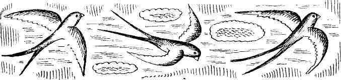 Одиниця з обманом - pic_15.jpg