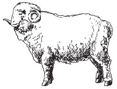 Полная энциклопедия фермера - i_030.png