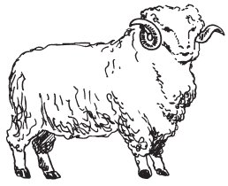 Полная энциклопедия фермера - i_031.png