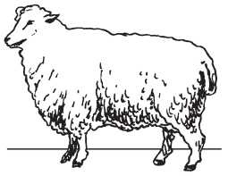 Полная энциклопедия фермера - i_032.png