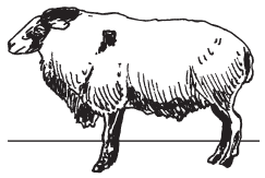 Полная энциклопедия фермера - i_033.png