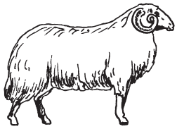 Полная энциклопедия фермера - i_034.png