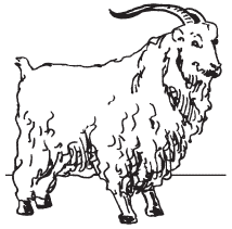 Полная энциклопедия фермера - i_038.png