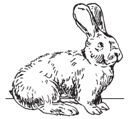 Полная энциклопедия фермера - i_043.png