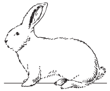 Полная энциклопедия фермера - i_044.png