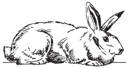 Полная энциклопедия фермера - i_045.png