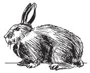 Полная энциклопедия фермера - i_048.png