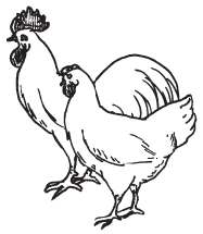 Полная энциклопедия фермера - i_060.png