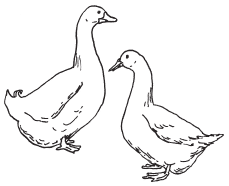 Полная энциклопедия фермера - i_067.png