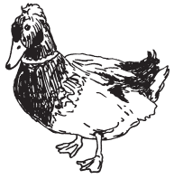 Полная энциклопедия фермера - i_068.png