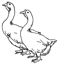 Полная энциклопедия фермера - i_070.png