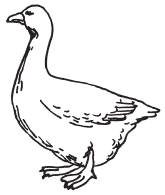 Полная энциклопедия фермера - i_073.png