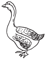 Полная энциклопедия фермера - i_075.png