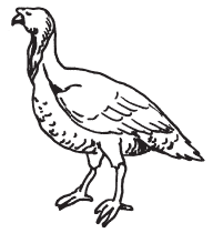 Полная энциклопедия фермера - i_080.png